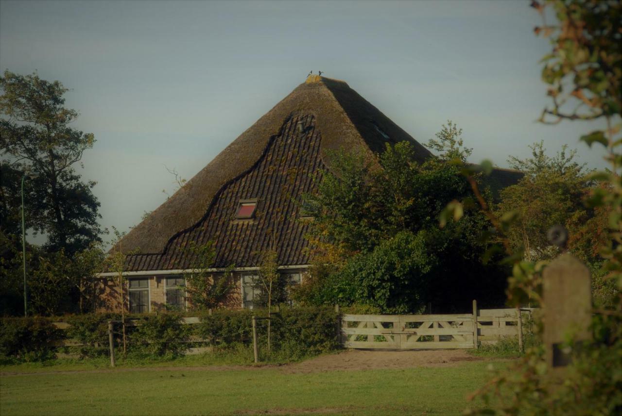 Sterrenhoeve Castricum Eksteriør billede